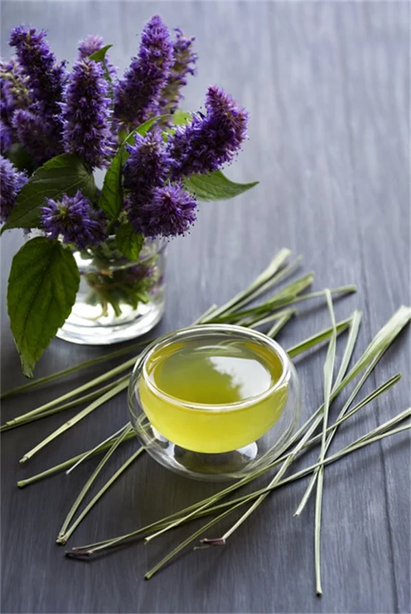 5 Common Garden Plants That Are Poisonous Right Under Your Nose