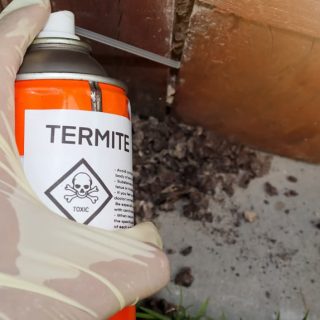 Does Bifenthrin Kill Termites