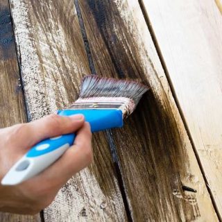 Termite-Proof Coatings