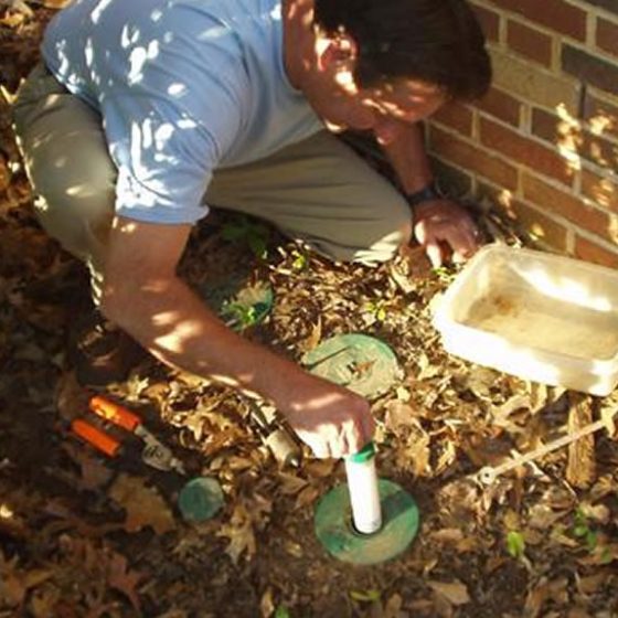 Termite control bait