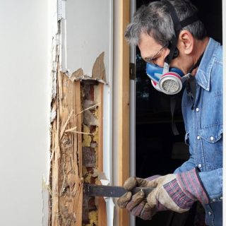 Termite damage insurance