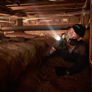 Termite inspection cost