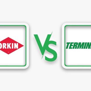 terminix vs orkin