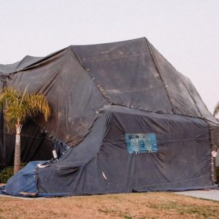 termite tenting