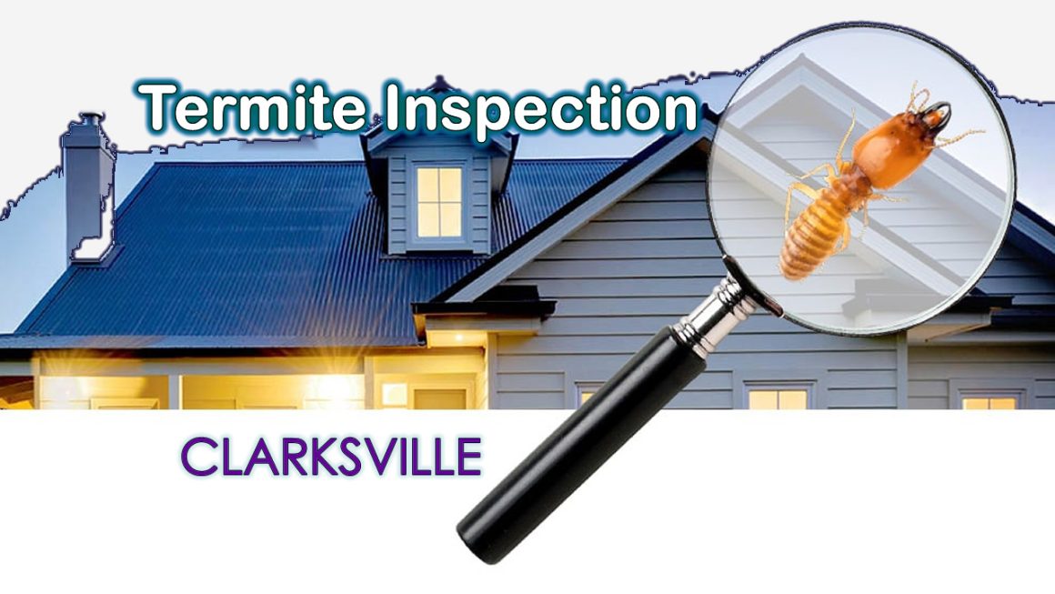 termite inspection clarksville tn