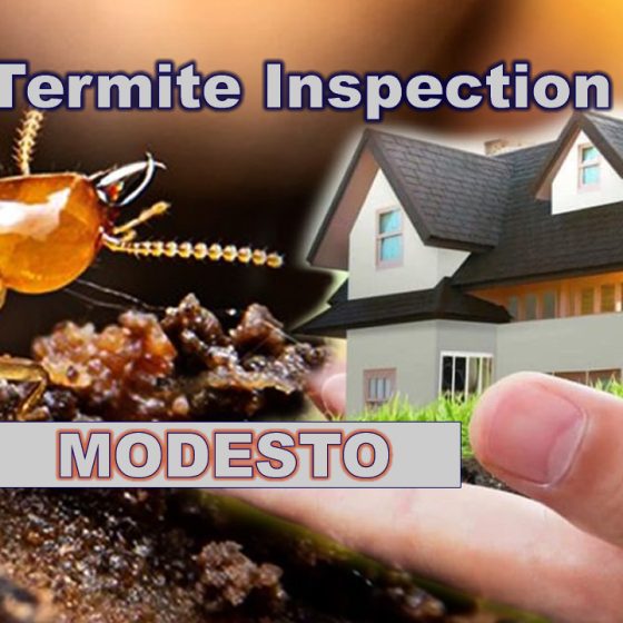 Termite Inspection Modesto CA