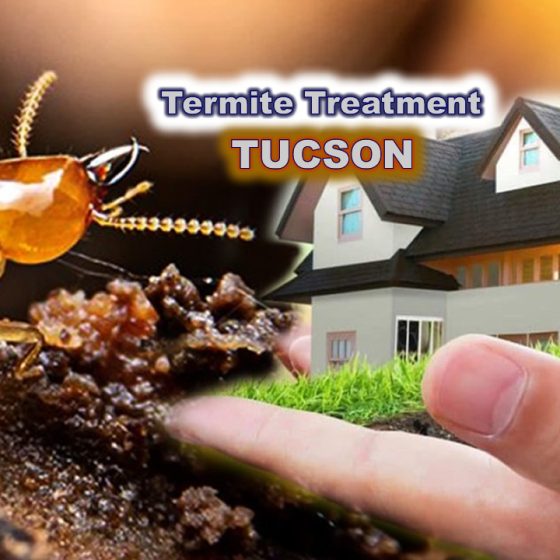 Termite Treatment Tucson