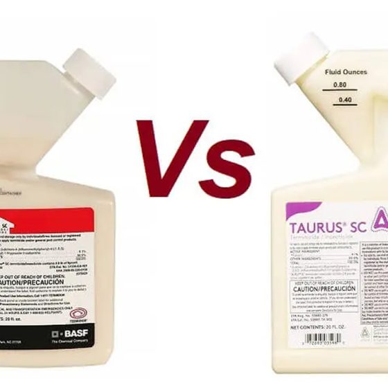 Taurus SC vs Termidor SC