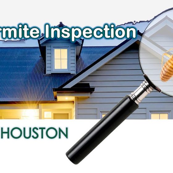 termite inspection houston