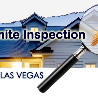termite inspection las vegas
