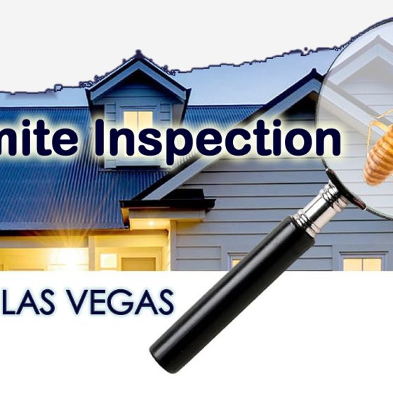 termite inspection las vegas