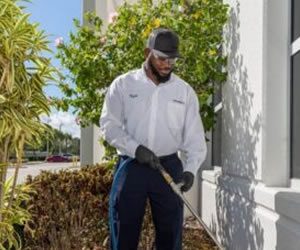 Aptive Termite Inspection Cost in 2025: Is It Worth the Investment? 6 termite treatment warranty