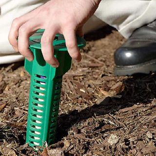 Sentricon termite bait stations
