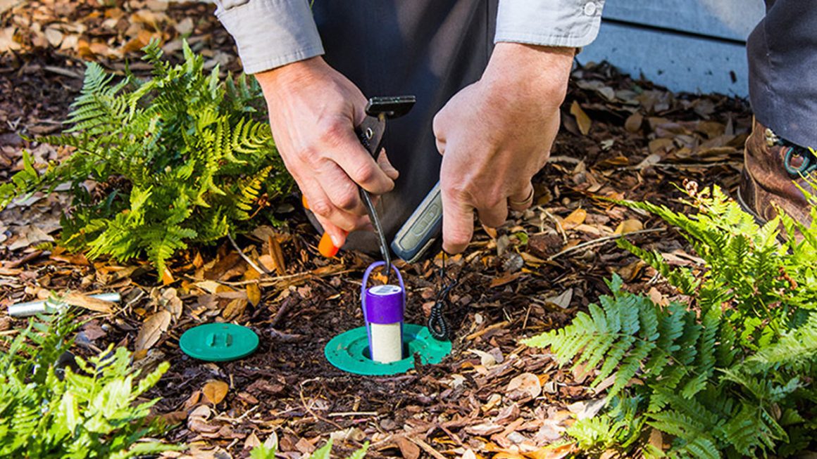Termite Baits vs. Termidor Termite Barriers