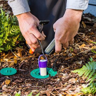 Termite Baits vs. Termidor Termite Barriers