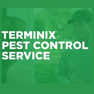 terminix termite control