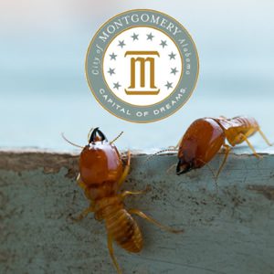 Best Rated Termite Removal in Montgomery AL