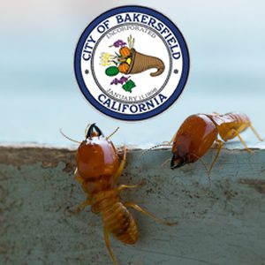 Termite Control Companies in Bakersfield CA