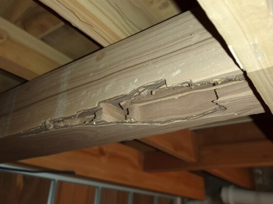Termite damage to wooden structure in Fort Wayne home