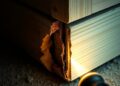 Hollow Sounding Wood: When It Could Point to Termite Damage editorial featured image showing termite inspection and property-risk planning context