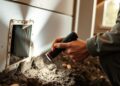 Restaurant Termite Risk: Moisture, Storage, and Inspection Planning 3 Restaurant Termite Risk: Moisture, Storage, and Inspection Planning editorial featured image showing termite inspection and property-risk planning context