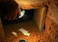Subterranean Termites: Signs, Risk Factors, and Inspection Questions editorial featured image showing termite inspection and property-risk planning context