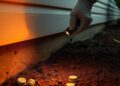 Termite Droppings vs Sawdust: How to Understand Frass Without Guessing editorial featured image showing termite inspection and property-risk planning context