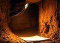 Termite Inspection Report: How to Read Findings Without Overreacting 3 Termite Inspection Report: How to Read Findings Without Overreacting editorial featured image showing termite inspection and property-risk planning context